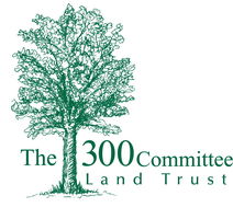 The 300 Committee 